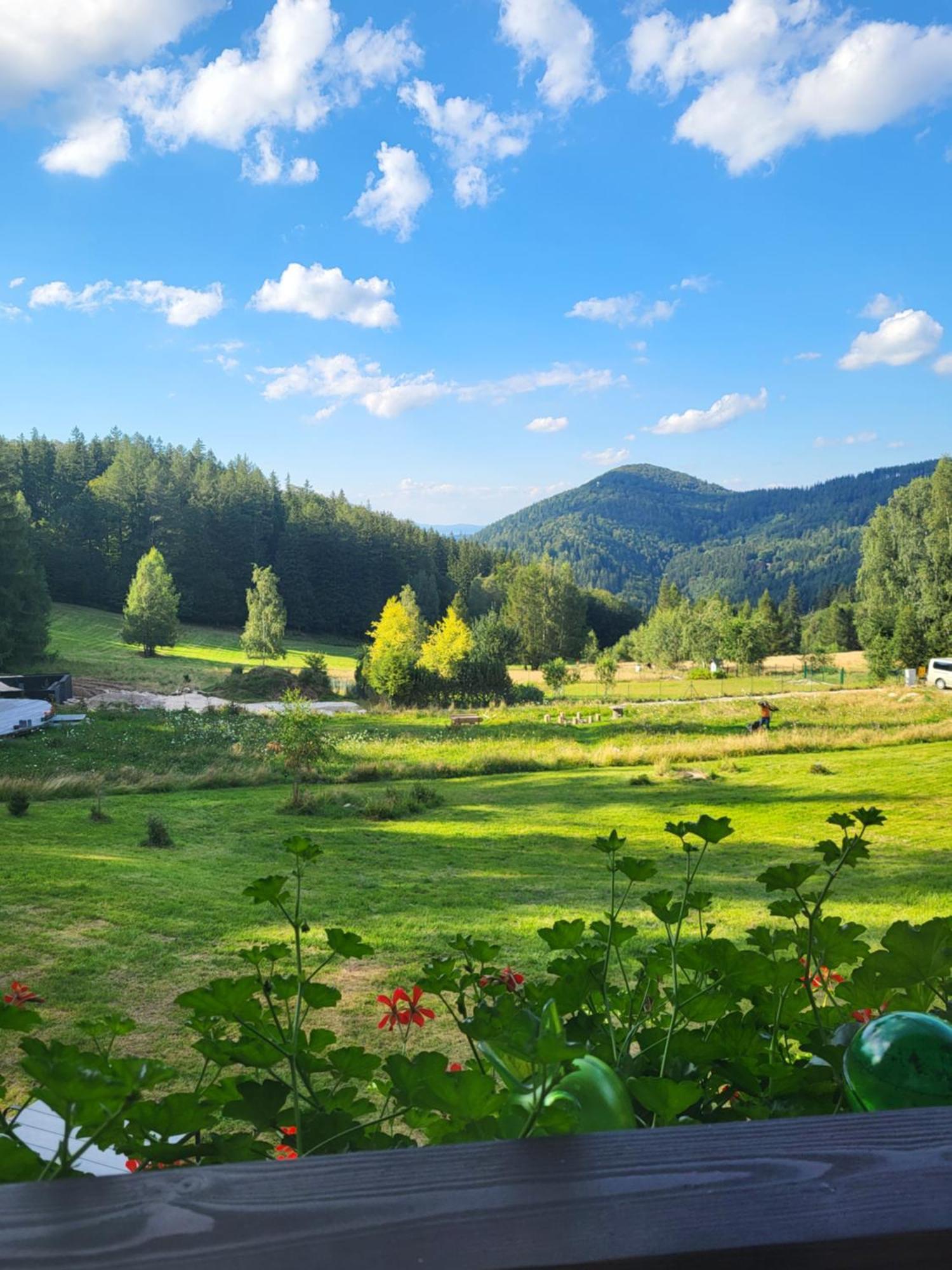 Oranska Bed & Breakfast Miedzygorze Exterior foto